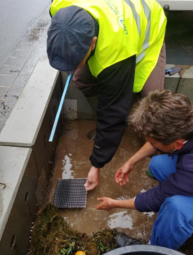 Sampling of tree trenches